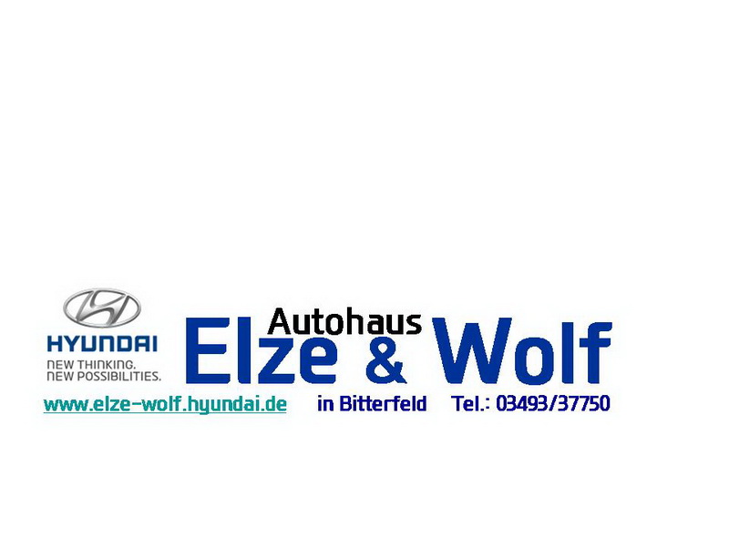 2019_Sponsoren_web_Logos_Autohaus Logo