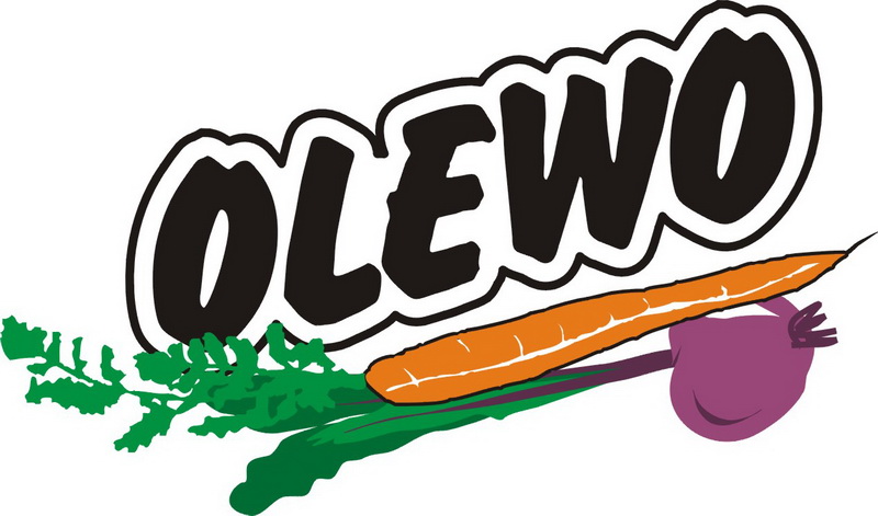 2019_Sponsoren_web_Logos_LOGO OLEWO