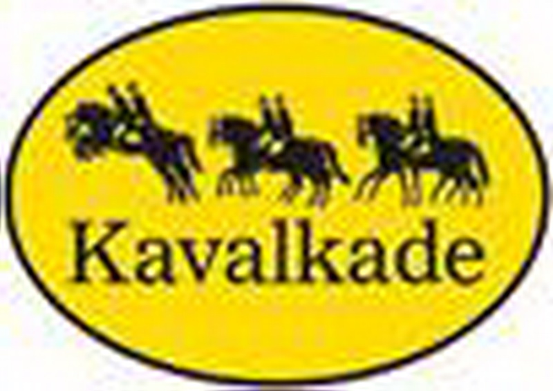 2019_Sponsoren_web_Logos_image008