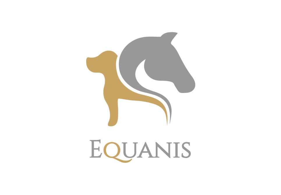 Equanis-Logo