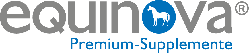 Neu 2012_logo_equinova freigestellt grau